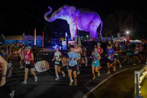 BIB: 
                            <button type="button" onclick="openModal(26552327)" class="btn btn-primary btn-sm float-right btn-popup" data-toggle="modal" data-target=".modal-high-quality">
                        <i class="fas fa-shopping-cart"></i> Add to Cart
                    </button>
                                            <button type="button" onclick="isThisMe(26552327, true)" class="btn btn-success btn-sm float-right btn-popup btn-isme hidden" data-toggle="tooltip" data-placement="bottom" title="นี่คือรูปของคุณใช่ไหม คลิกที่นี่เพื่อเอาเข้าอัลบั้ม">
                        <i class="fas fa-plus"></i> Add to album
                    </button>
                    <button type="button" onclick="isThisMe(26552327, false)" class="btn btn-warning btn-sm float-right btn-popup btn-isnotme hidden">
                        <i class="fas fa-ban"></i> Remove from album
                    </button>